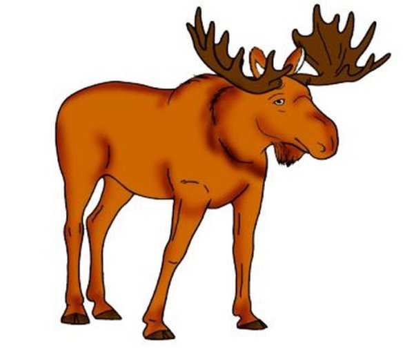 Лось для дошкольников