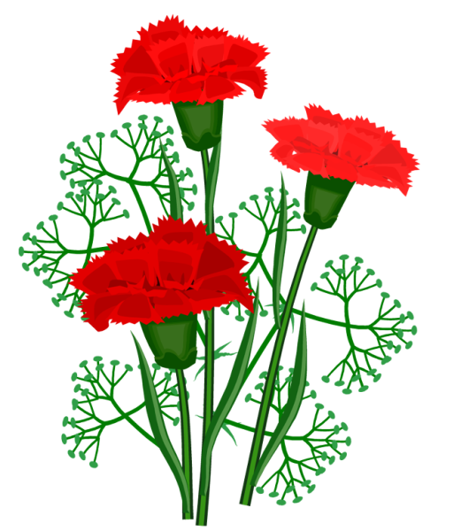 Гвоздики для детей