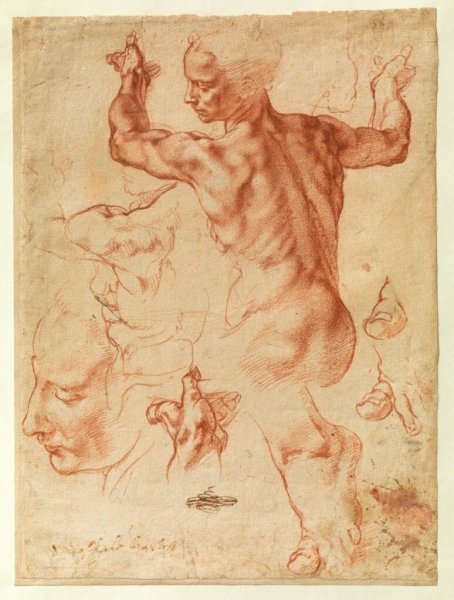 Леонардо да Винчи сангина