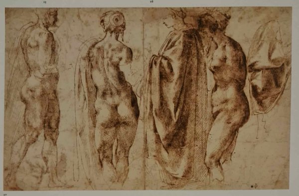 Микеланджело Буонарроти анатомия