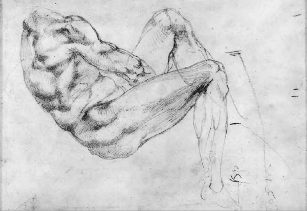 Микеланджело Буонарроти анатомия