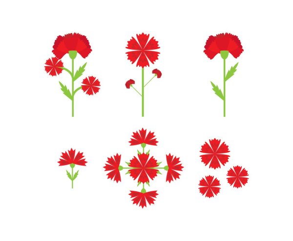 Гвоздика схематично