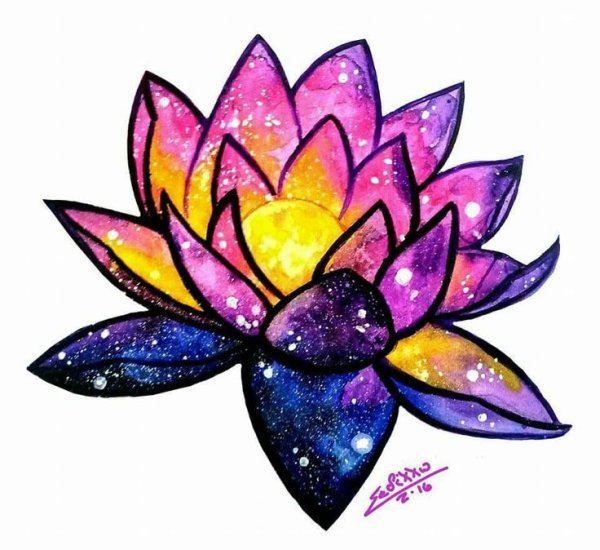 Лотос рисунок