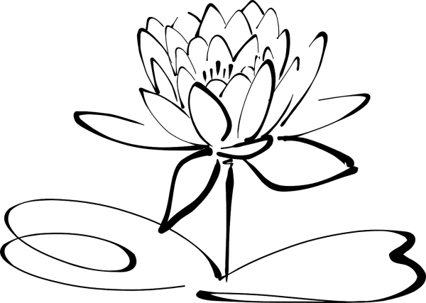 Кувшинка белая (Nymphaea Alba)