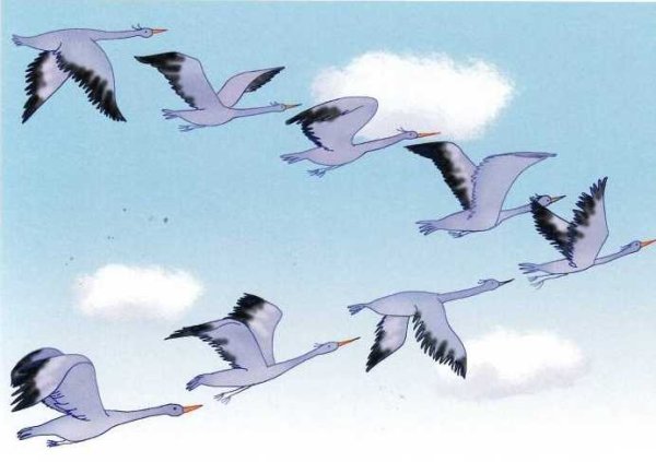 Клин перелетных птиц в небе Нищева