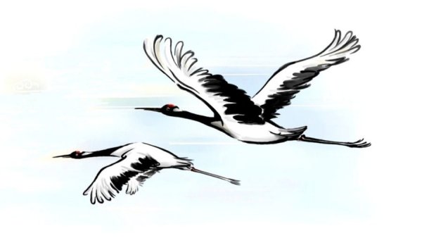 Аист Графика