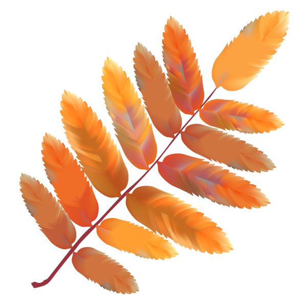 Осенний листок рябины