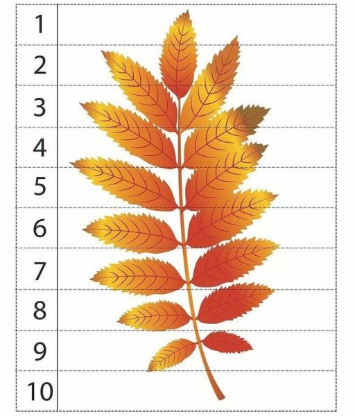 Рябиновый лист рисунок