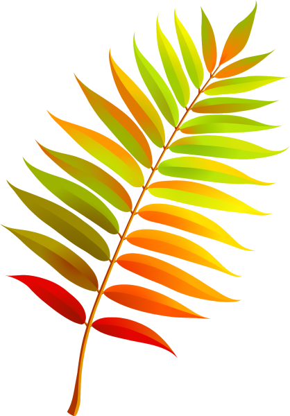 Лист рябины