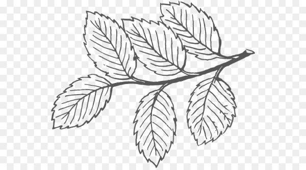 Рябиновый лист поэтапно