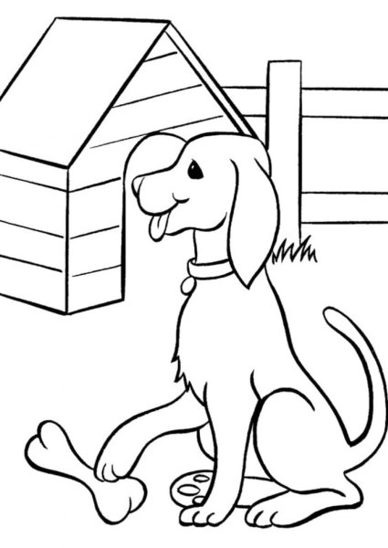 Собака раскраска для детей