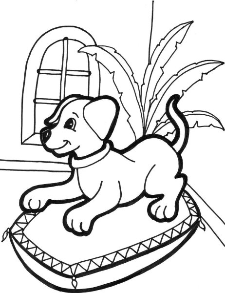 Домашние питомцы. Раскраска