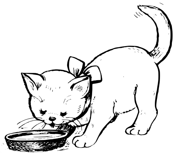 Котенок. Раскраска