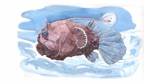 Подводный мир рыба удильщик