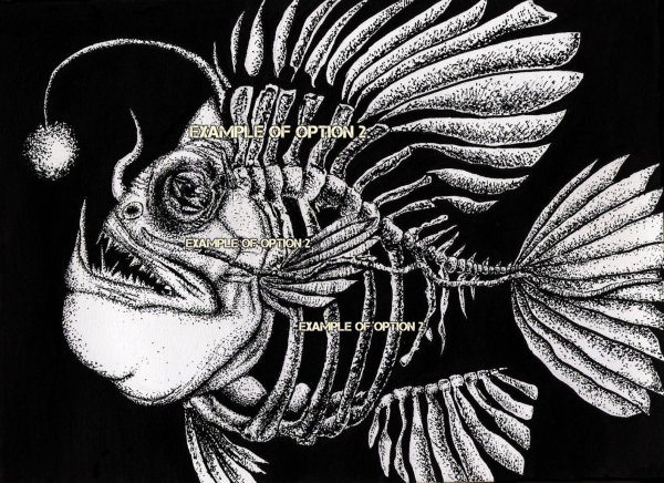 Рыба удильщик скелет рисунок