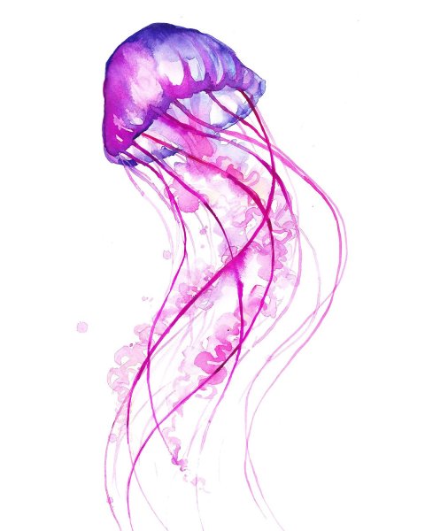 Медуза акварелью