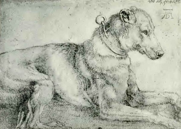 Альбрехт Дюрер драпировки