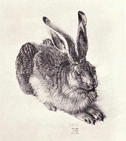 Мартин Шонгауэр портрет