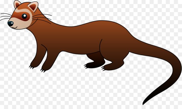 Соболь раскраска для детей