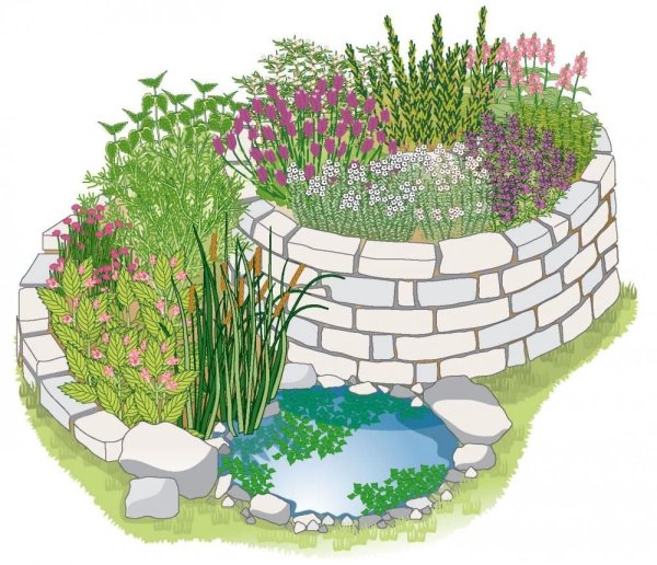 Эскиз клумбы