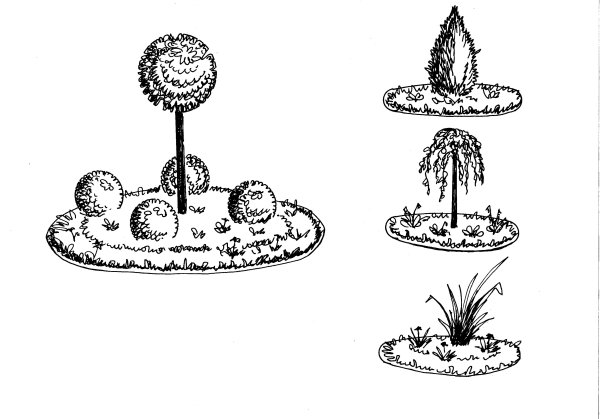 Клумба нарисовать карандашом