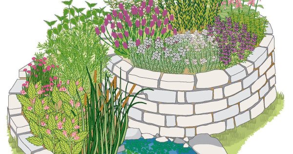 Зарисовки клумб