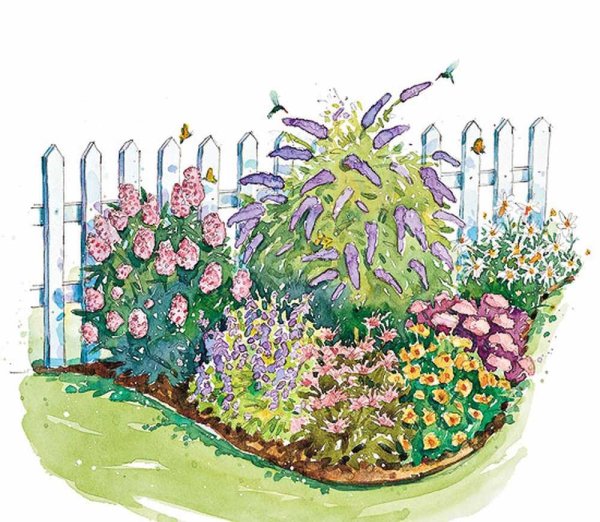 Клумба набросок