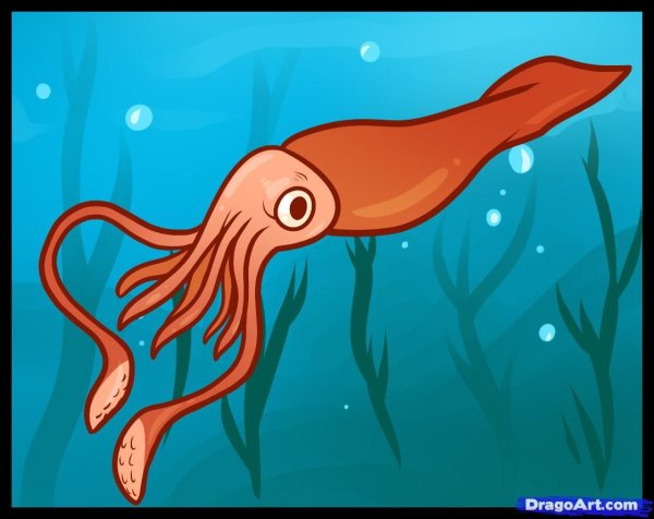 Каракатица для детей