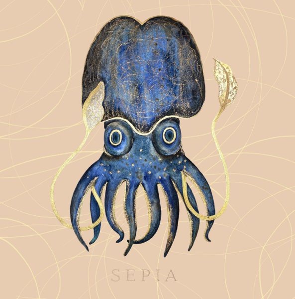 Чернильная каракатица