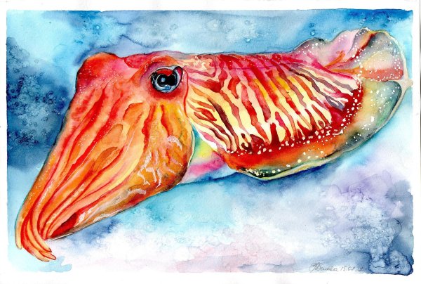 Морские животные акварелью