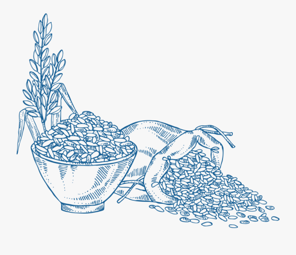 Тарелка с рисом рисунок