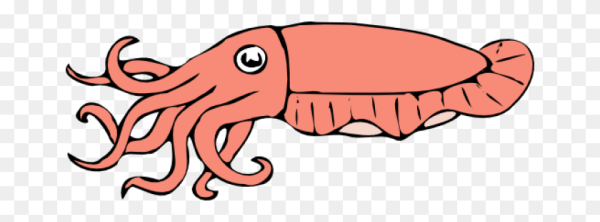 Каракатица для детей