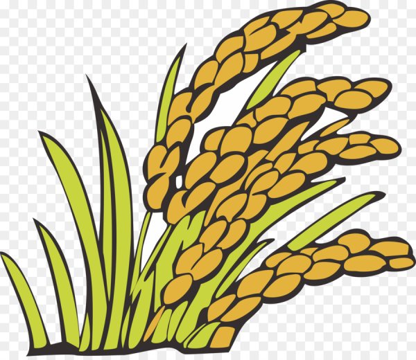 Колосок для детей