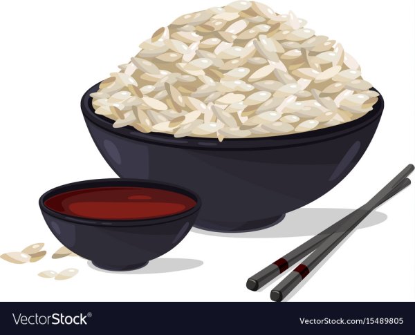 Тарелка риса вектор