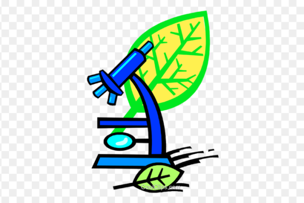 Картинки по биологии