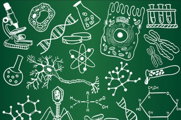 Терминология по биологии