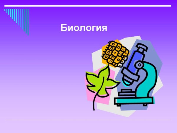 Урок биологии картинки