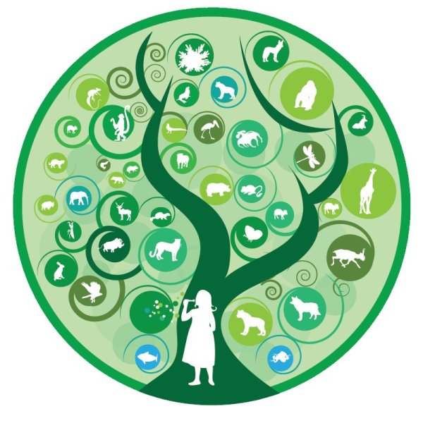 Эмблема по биологии