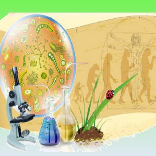 Биологические иллюстрации