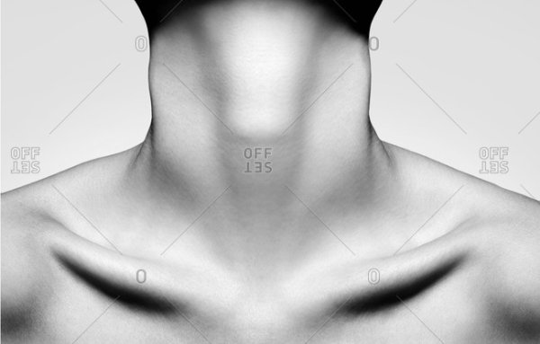 Анатомия шеи и ключицы