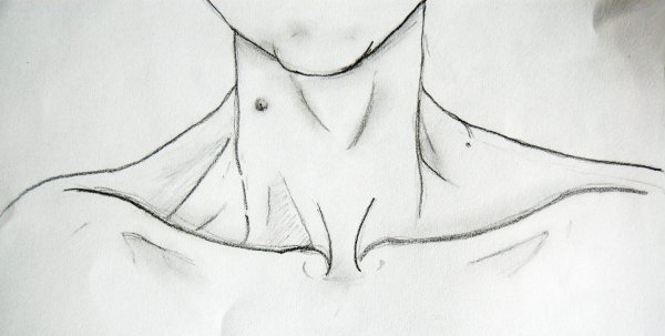 Наброски шеи