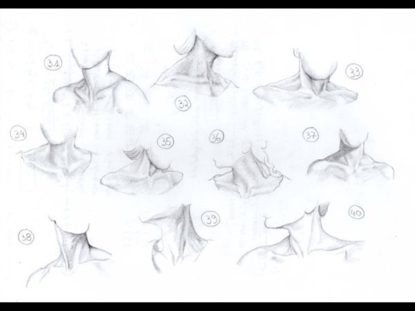 Рисование ключиц