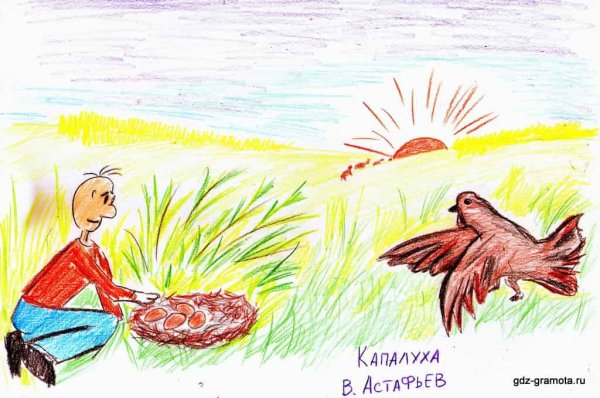 Капалуха Астафьев