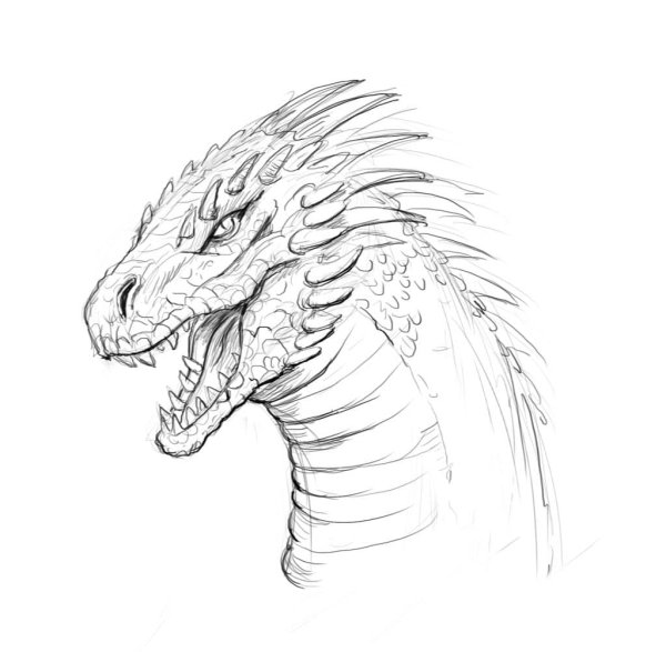 Морда дракона рисунок карандашом