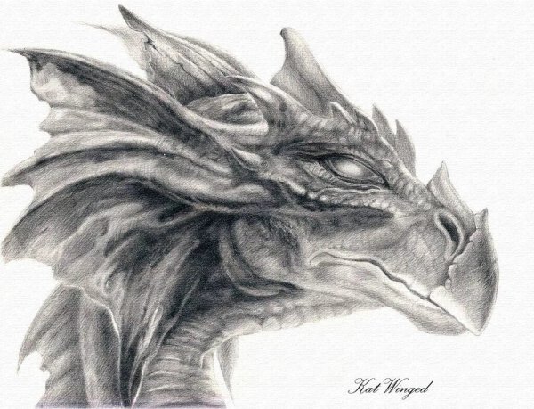 Голова дракона эскиз