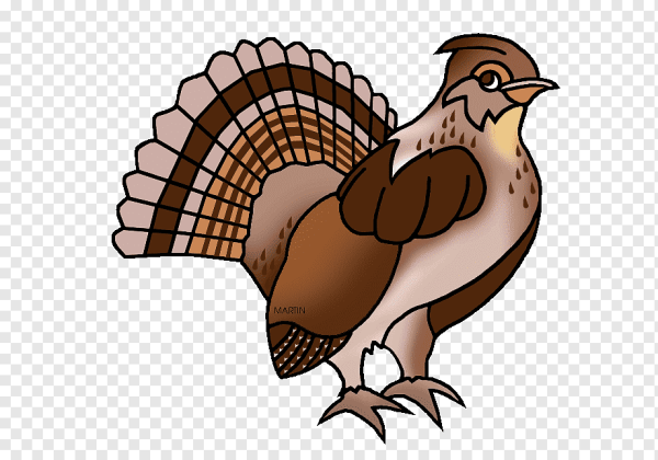 Тетерев мультяшный
