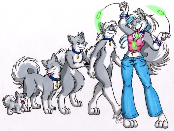 Луна фурри ХАЗБИН