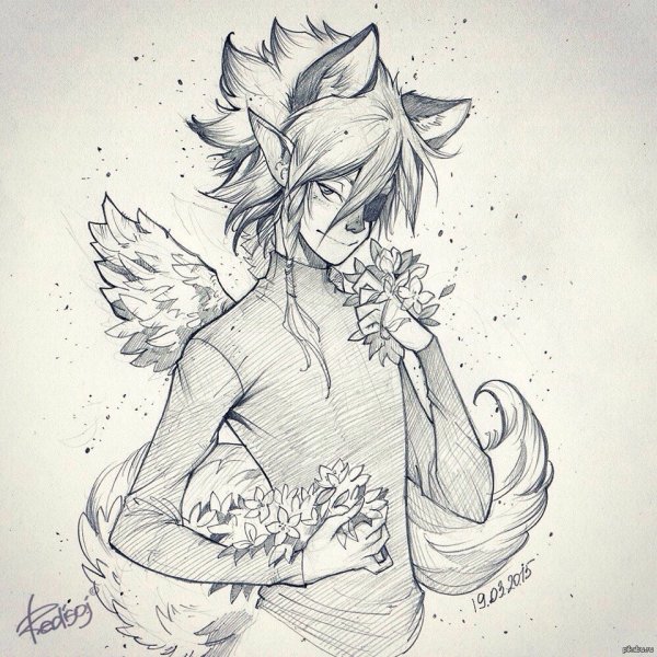 Эволюция фурри