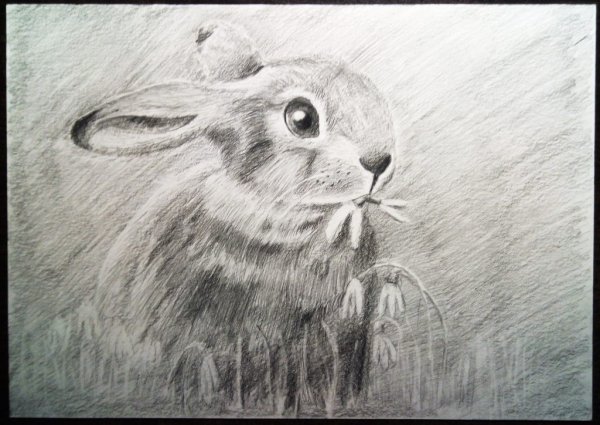 Рисунки акварельными карандашами