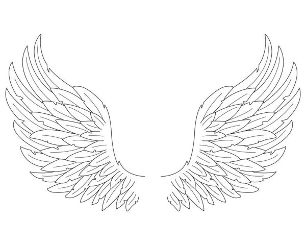 Крылья карандашом